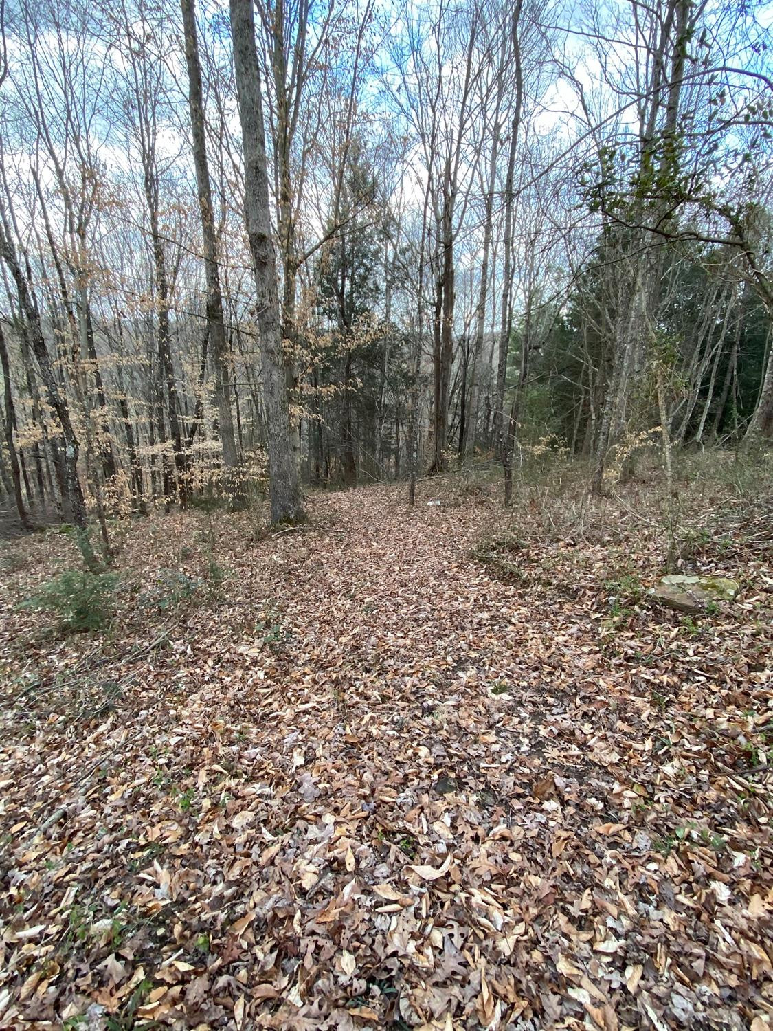 1175 Cassidy Road London, KY 40744 - Photo 76 of 94 Photo 76