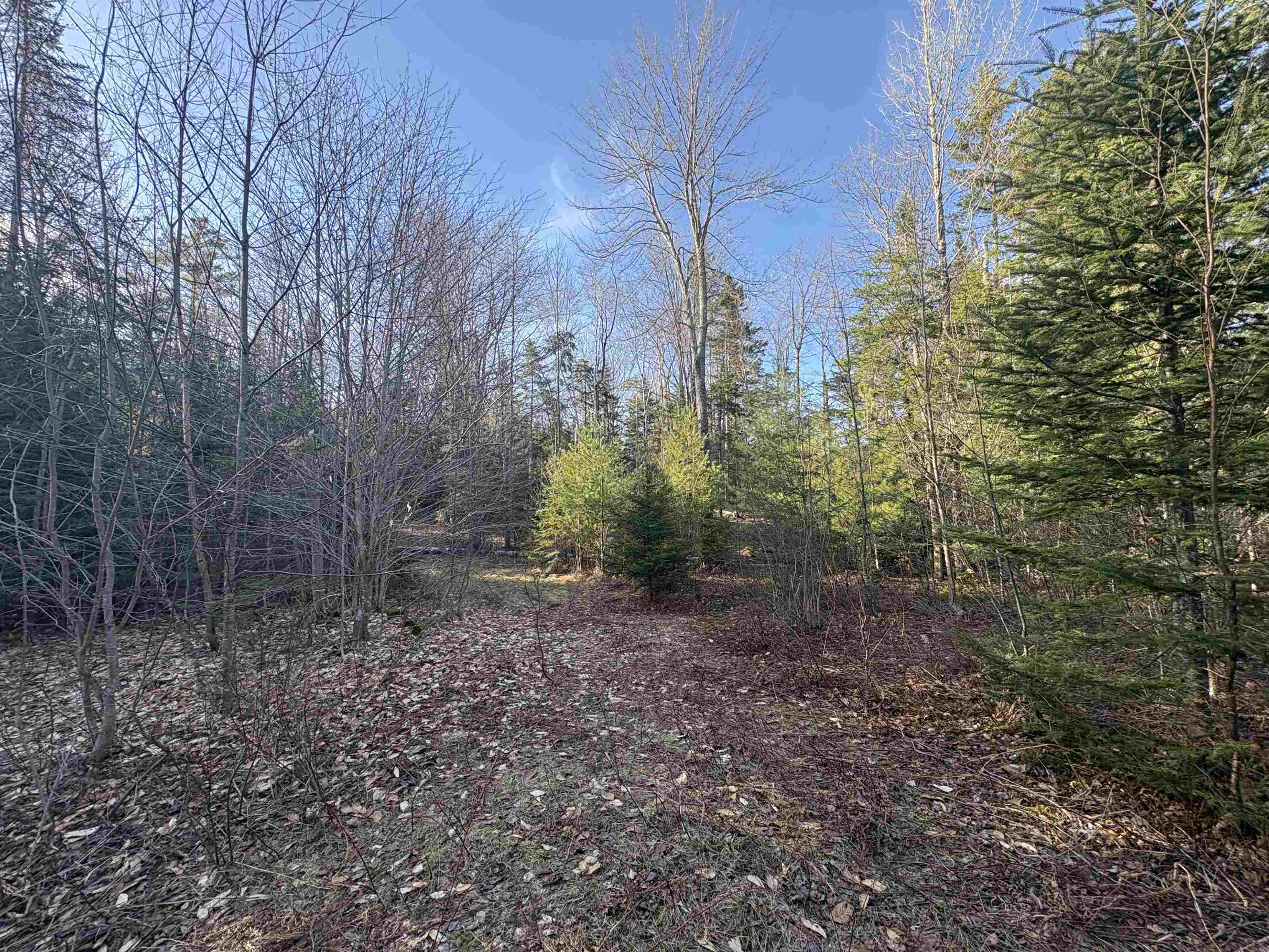 208 Drake Pl Road Sheffield, VT 05866 - Photo 21 of 27