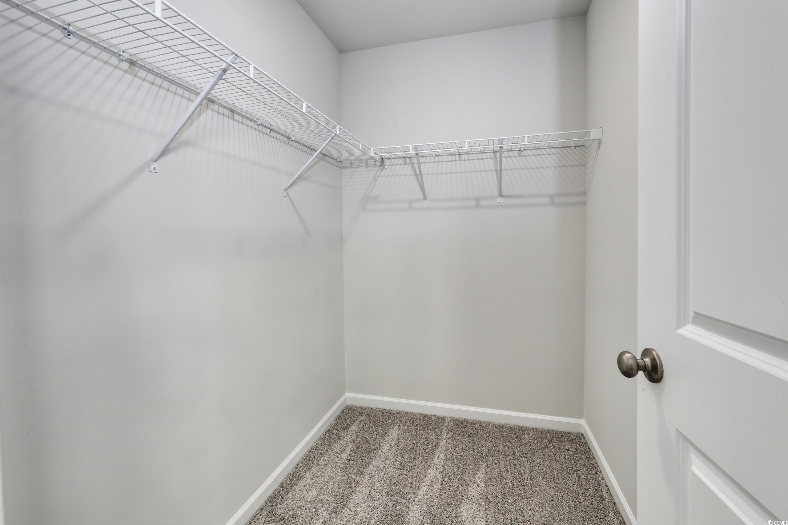 728 St Albans Loop Conway, SC 29526 - Photo 11 of 19 Spacious closet with carpet floors