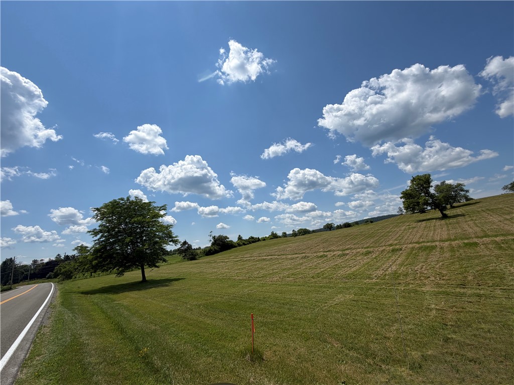 Middle Road Horseheads, NY 14845 - Photo 2 of 12