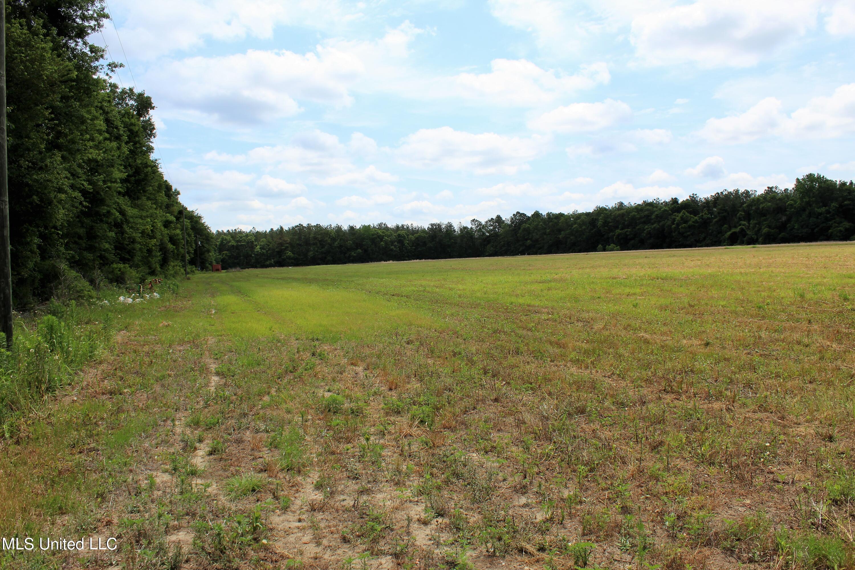 42.8-acres Merritt Road Leakesville, MS 39451 - Photo 1 of 10 IMG_9998