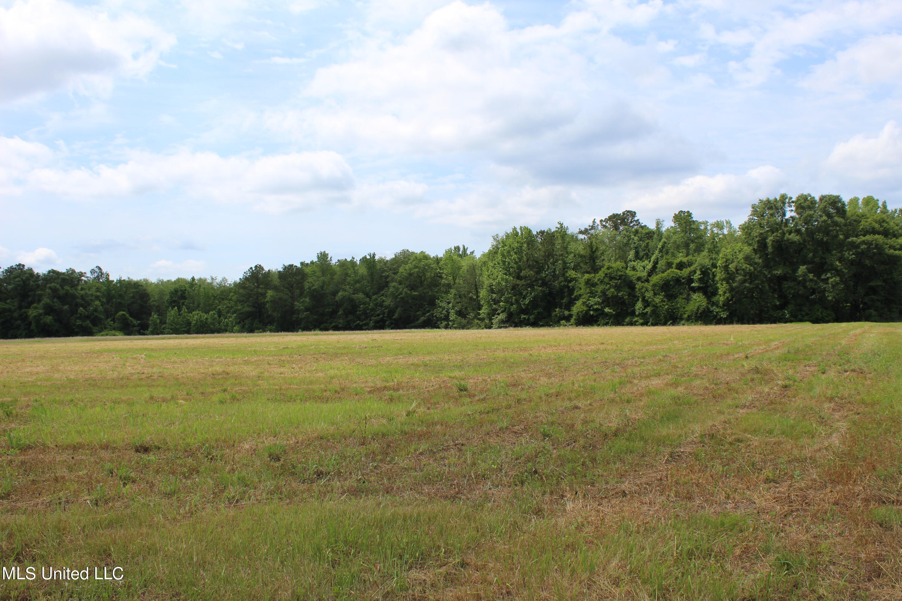 42.8-acres Merritt Road Leakesville, MS 39451 - Photo 2 of 10 Field
