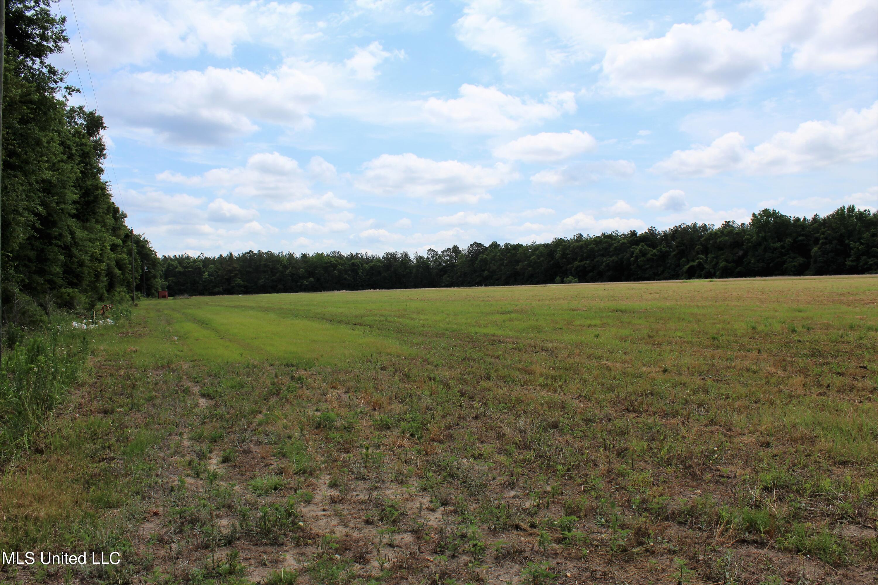 42.8-acres Merritt Road Leakesville, MS 39451 - Photo 3 of 10 IMG_9992