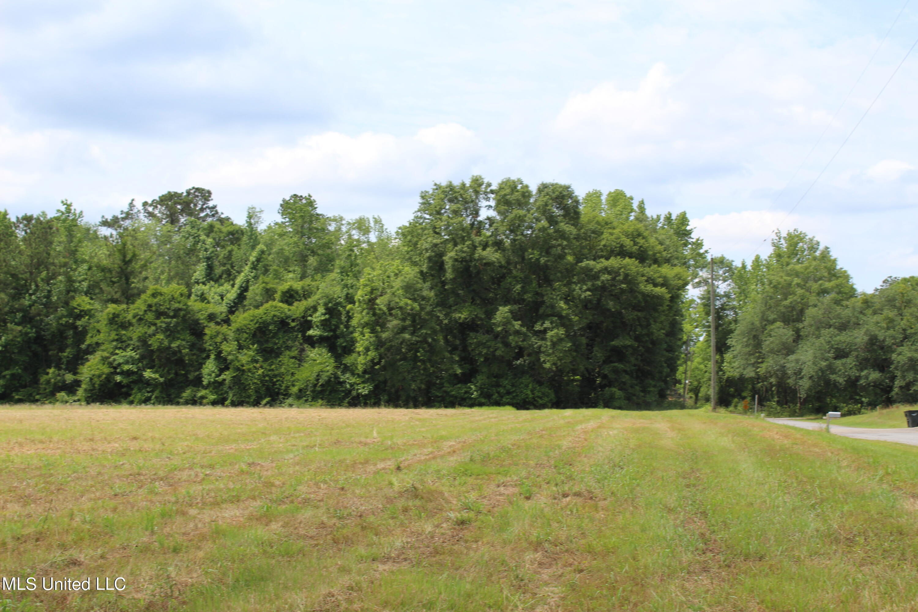 42.8-acres Merritt Road Leakesville, MS 39451 - Photo 5 of 10 IMG_9994
