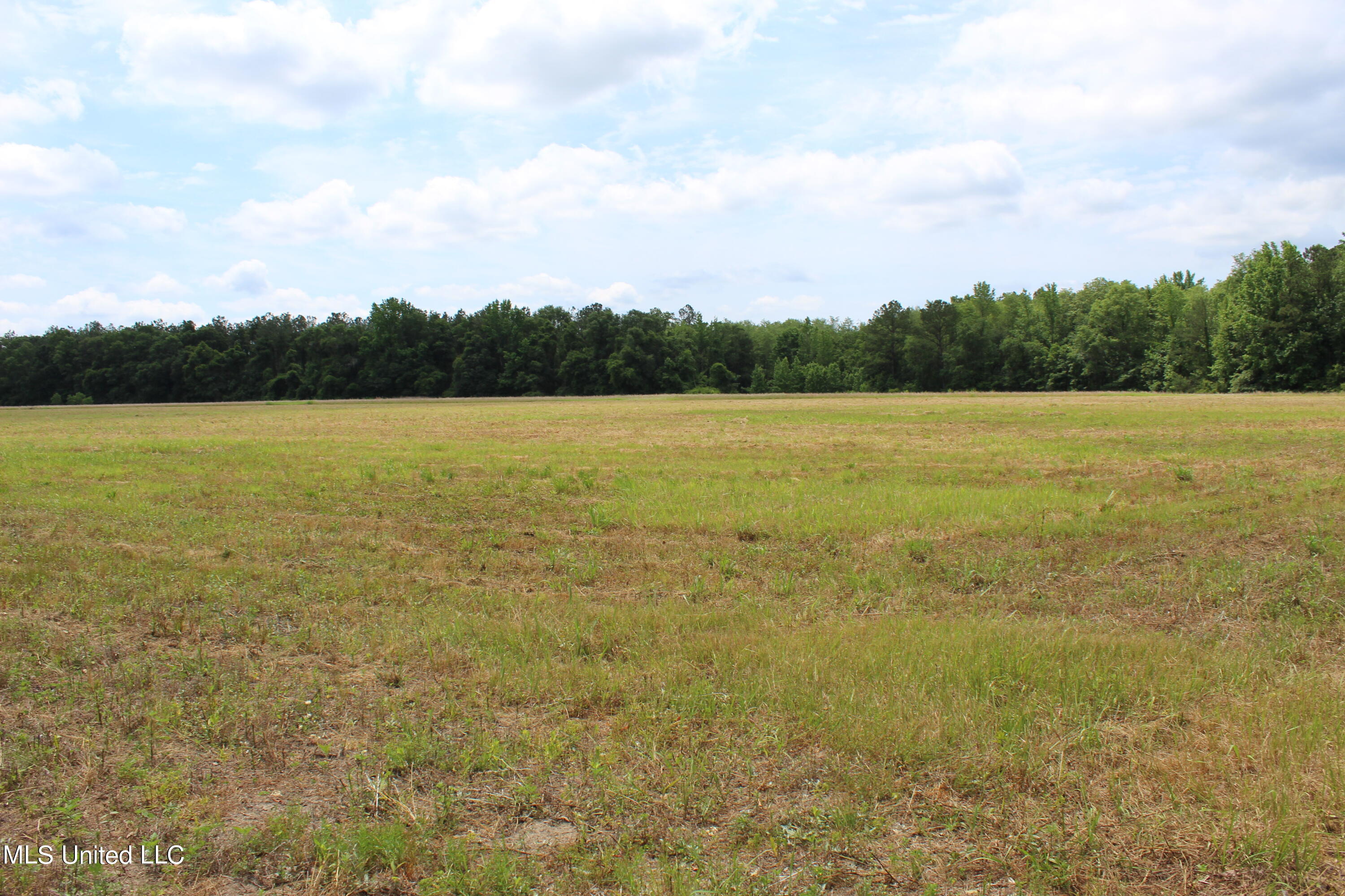 42.8-acres Merritt Road Leakesville, MS 39451 - Photo 10 of 10 IMG_0001