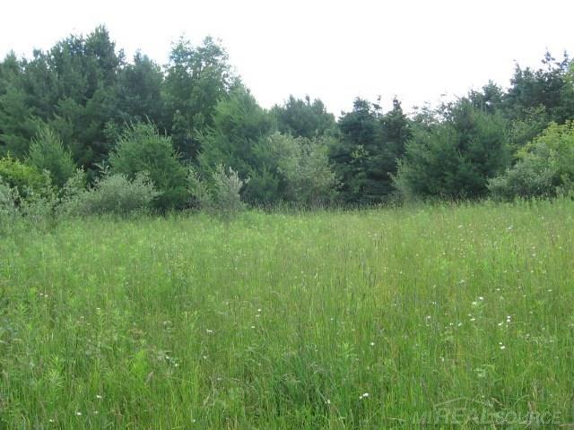 Tbd Burns Line Croswell, MI 48422 - Photo 3 of 19