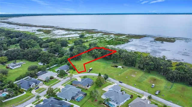 a view of a yard with a plant