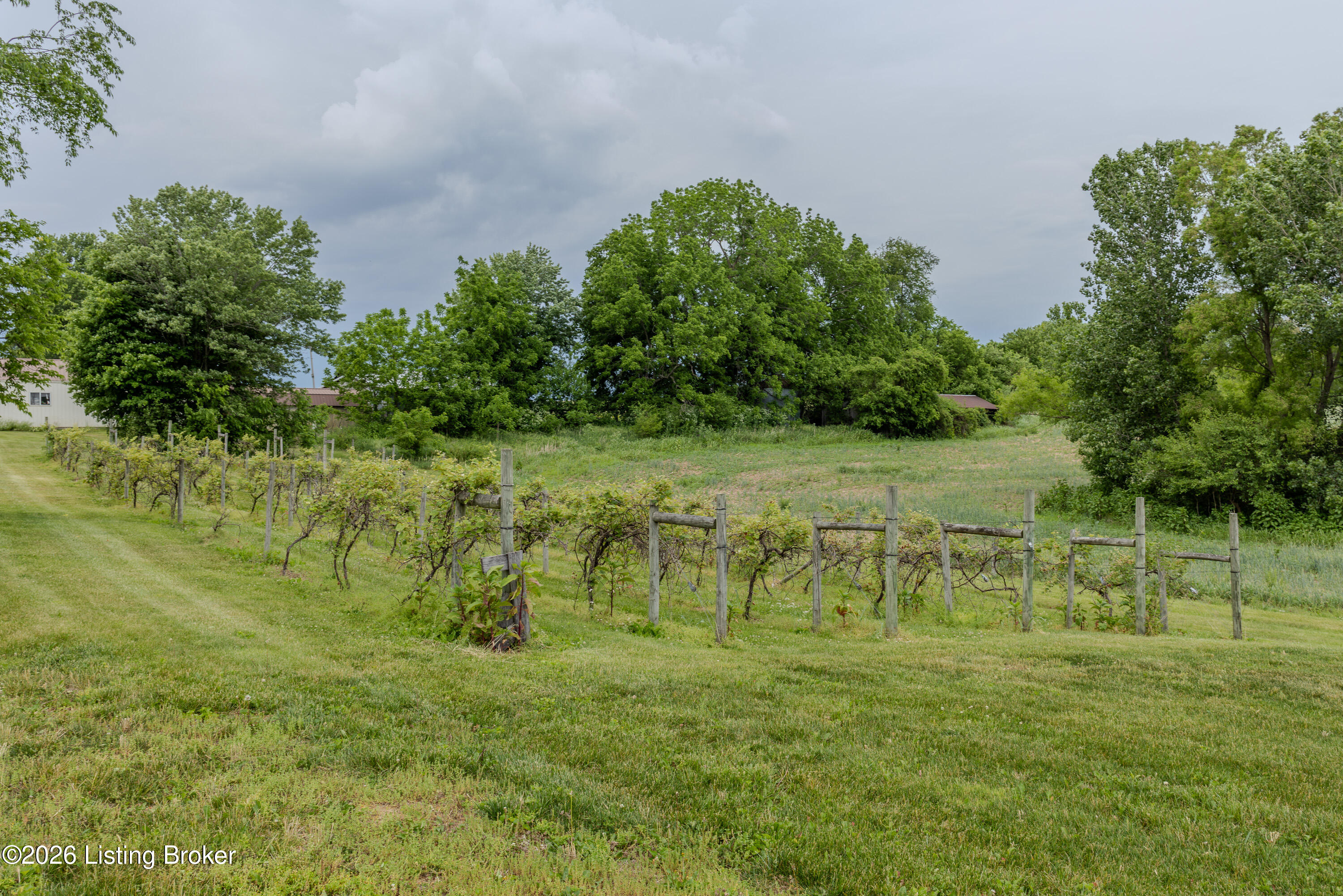 650 Midway Road Guston, KY 40142 - Photo 67 of 72 BACK YARD(7)
