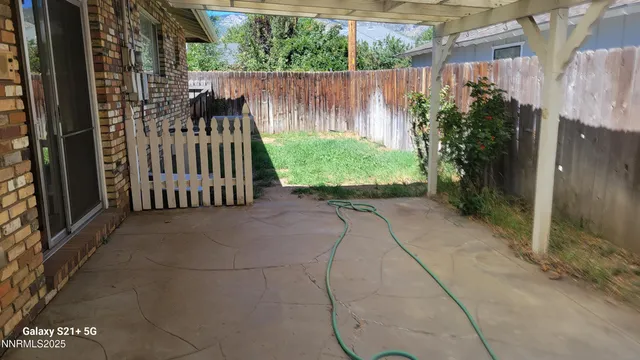 a view of a backyard with plants