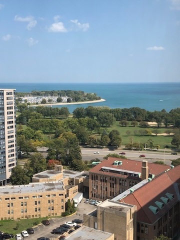 655 West Irving Park Road, Unit 2112 Chicago, IL 60613 - Photo 22 of 49 a view of a city