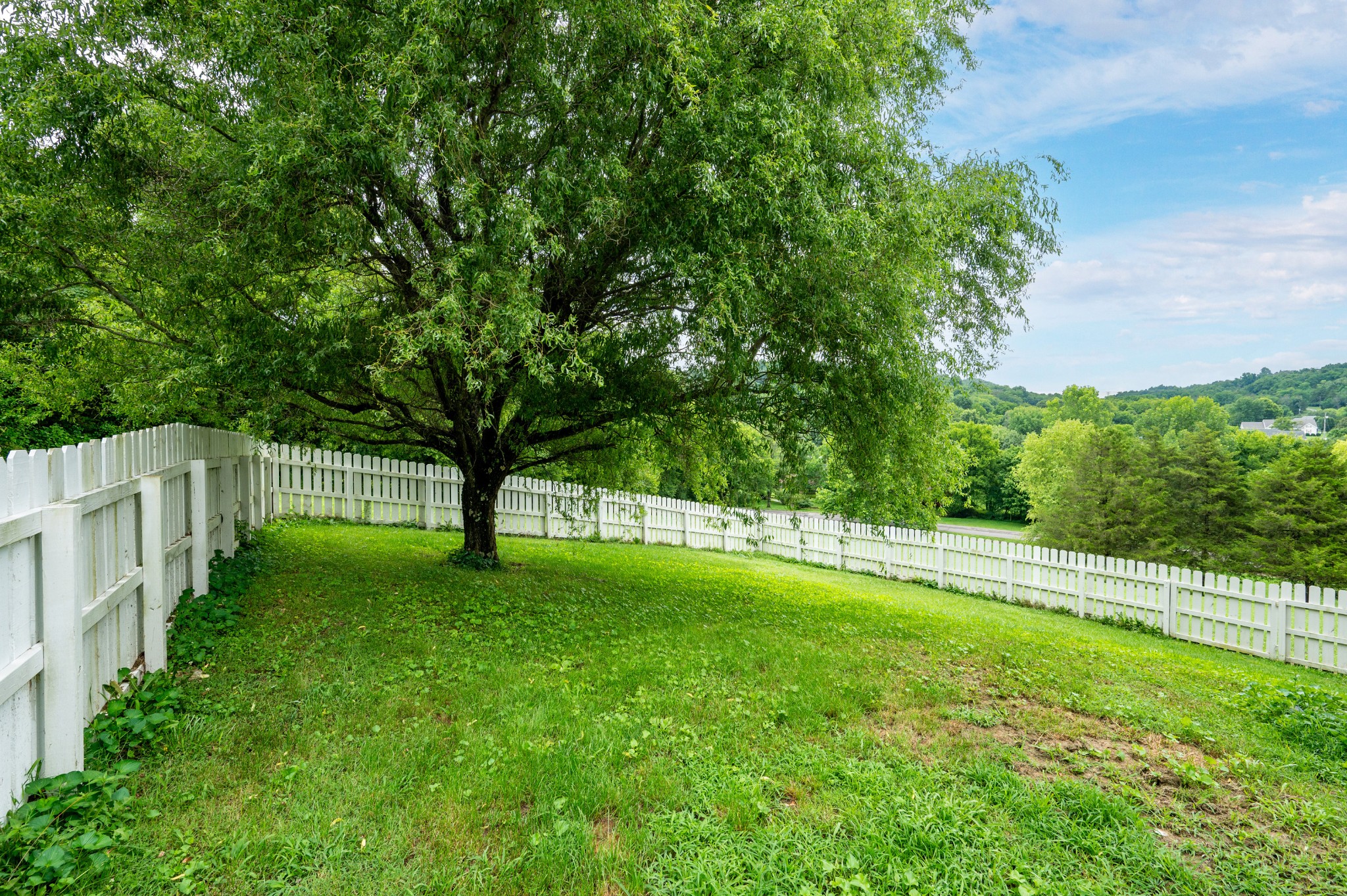769 Happy Valley Road Bell Buckle, TN 37020 - Photo 54 of 56