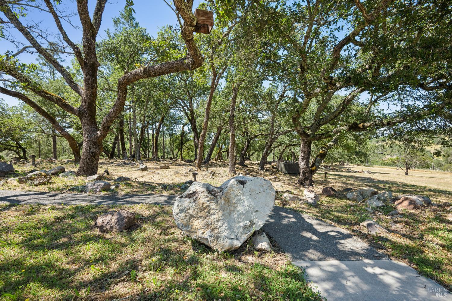 4665 Upper Ridge Road Santa Rosa, CA 95404 - Photo 71 of 71 a view of outdoor space with trees