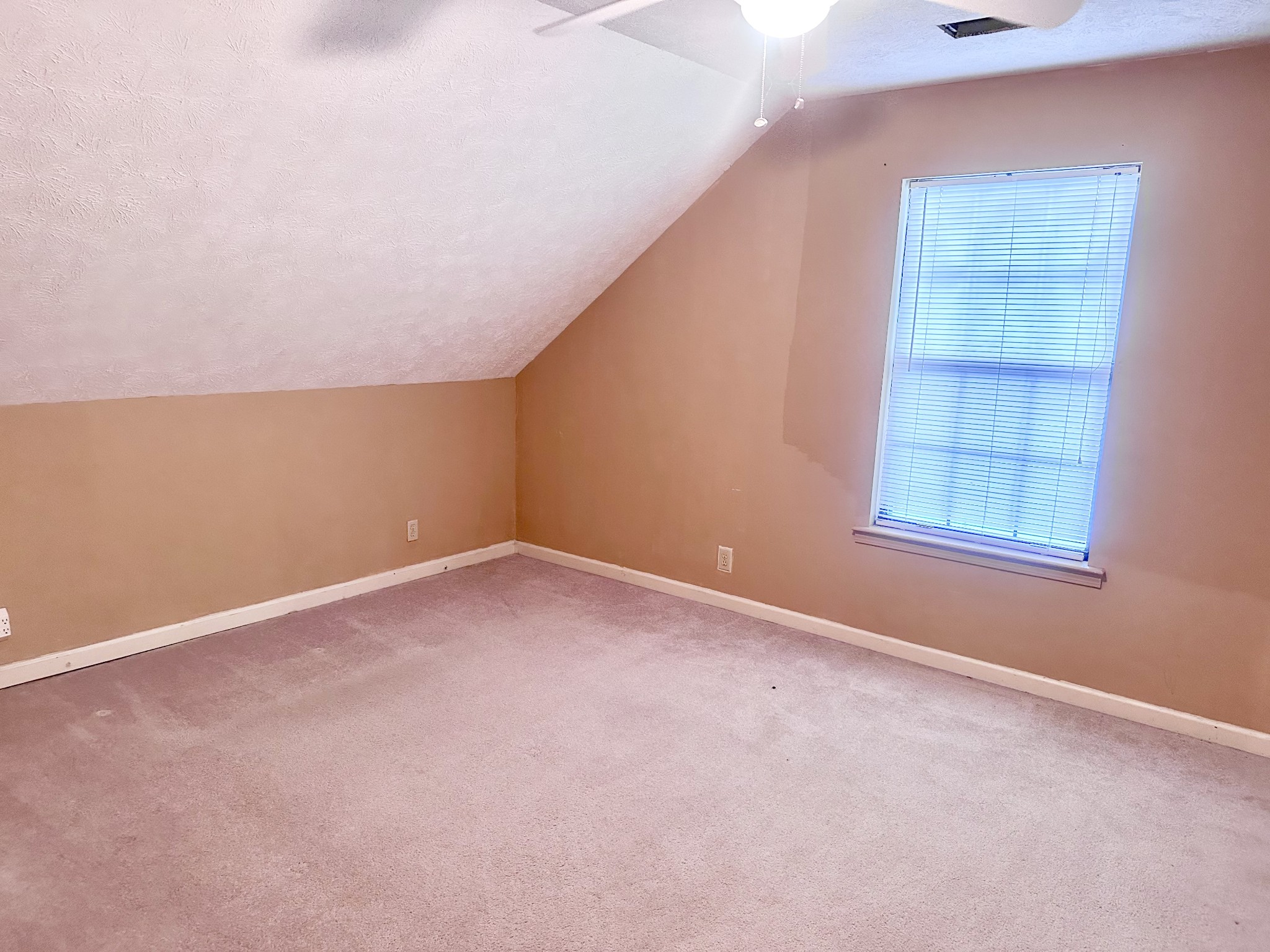141 South Palmers Chapel Road White House, TN 37188 - Photo 19 of 33 an empty room with windows