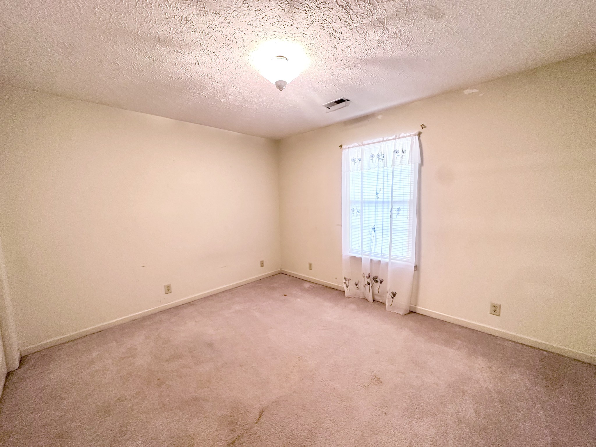 141 South Palmers Chapel Road White House, TN 37188 - Photo 22 of 33 an empty room with a empty space and windows