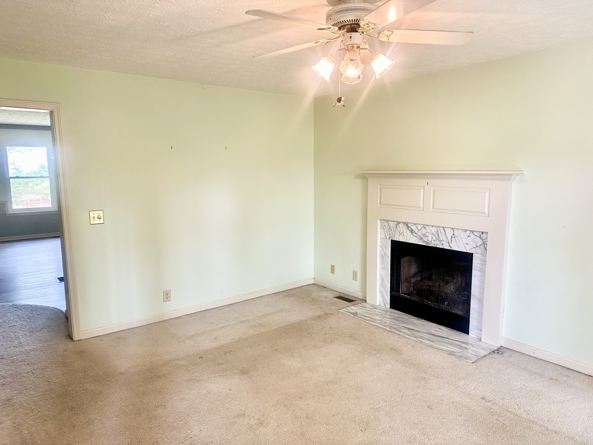141 South Palmers Chapel Road White House, TN 37188 - Photo 5 of 33 an empty room with a fireplace and a fan