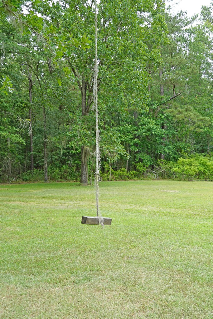 1098 Pickett Level Road Elloree, SC 29047 - Photo 36 of 41