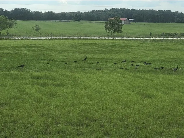 $354,489 | 10020 Northwest 7th Terrace, Branford, FL 32008