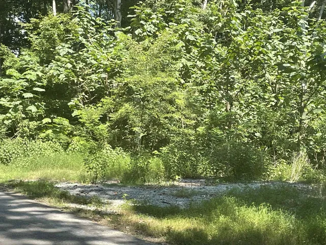 $149,900 | 155 Lakeshore Drive, Sugar Tree, TN 38380