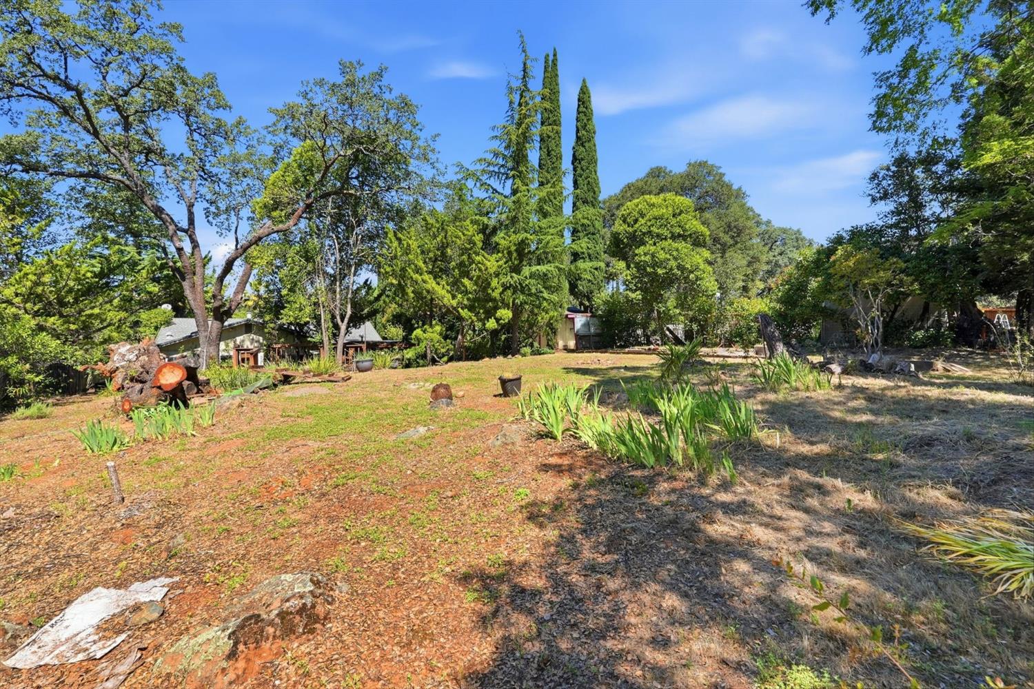4026 Bright Court Placerville, CA 95667 - Photo 49 of 61