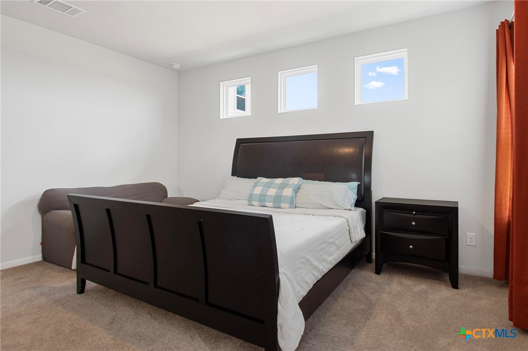 149 Cutleaf San Marcos, TX 78666 - Photo 12 of 24