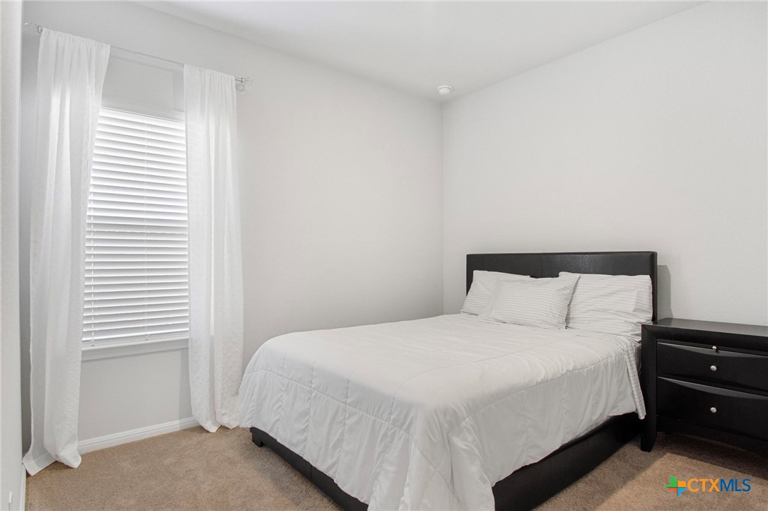 149 Cutleaf San Marcos, TX 78666 - Photo 18 of 24