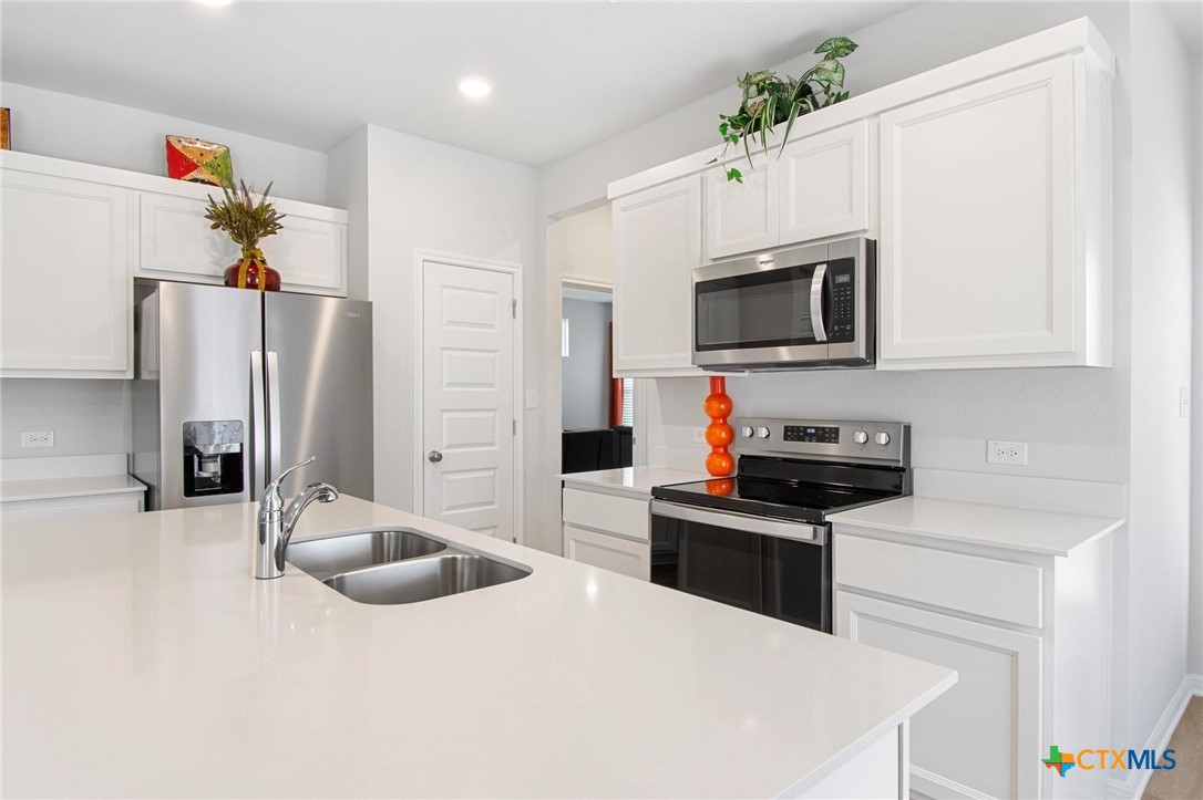 149 Cutleaf San Marcos, TX 78666 - Photo 10 of 24