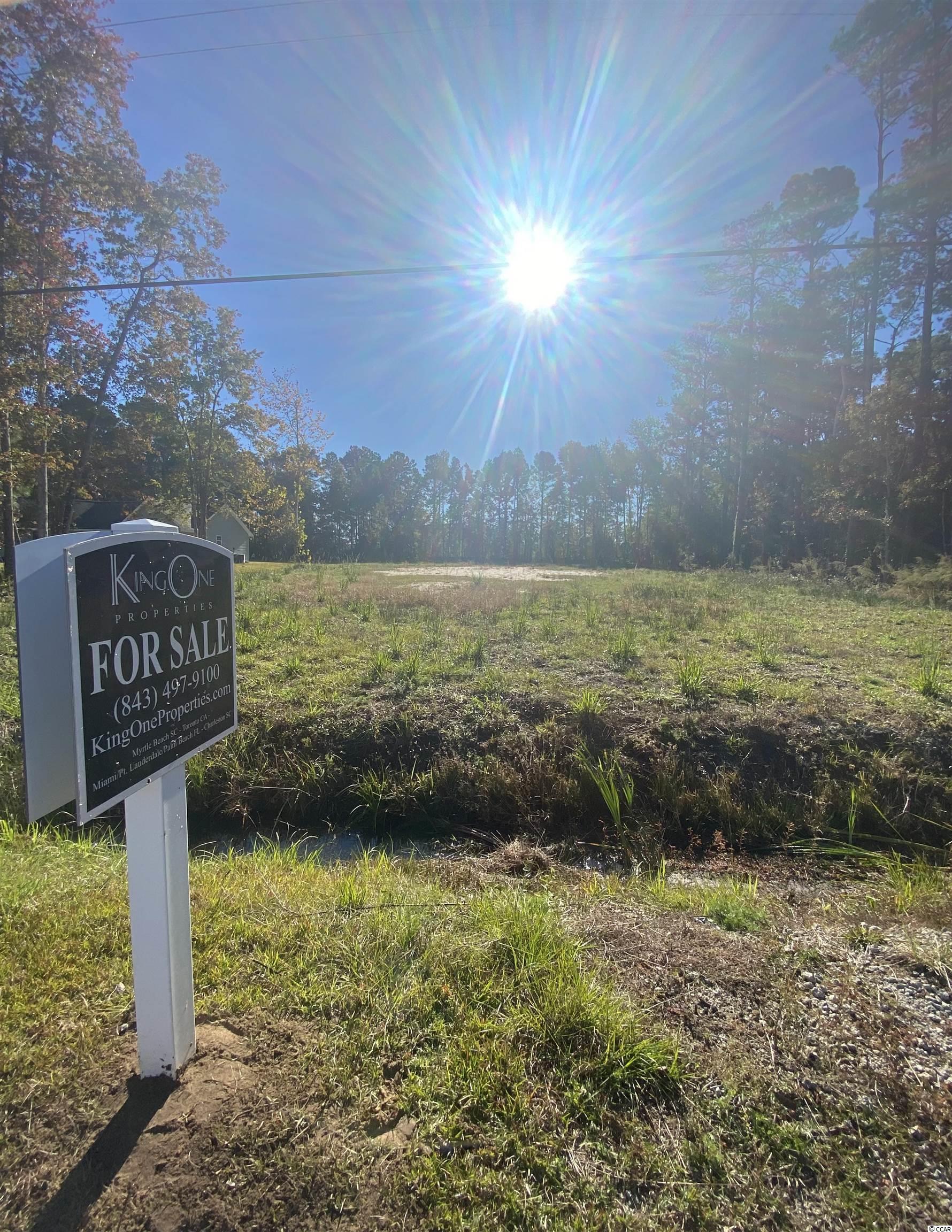 Lot 1 Shady Branch Road Myrtle Beach, SC 29588 - Photo 1 of 6 Gallery Image 1