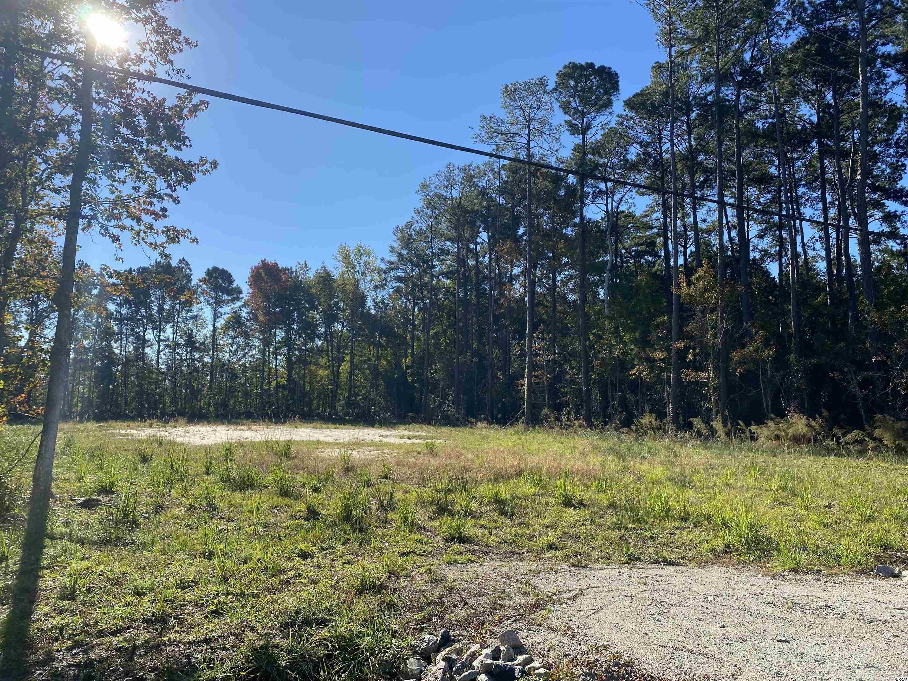 Lot 1 Shady Branch Road Myrtle Beach, SC 29588 - Photo 4 of 6 Gallery Image 4