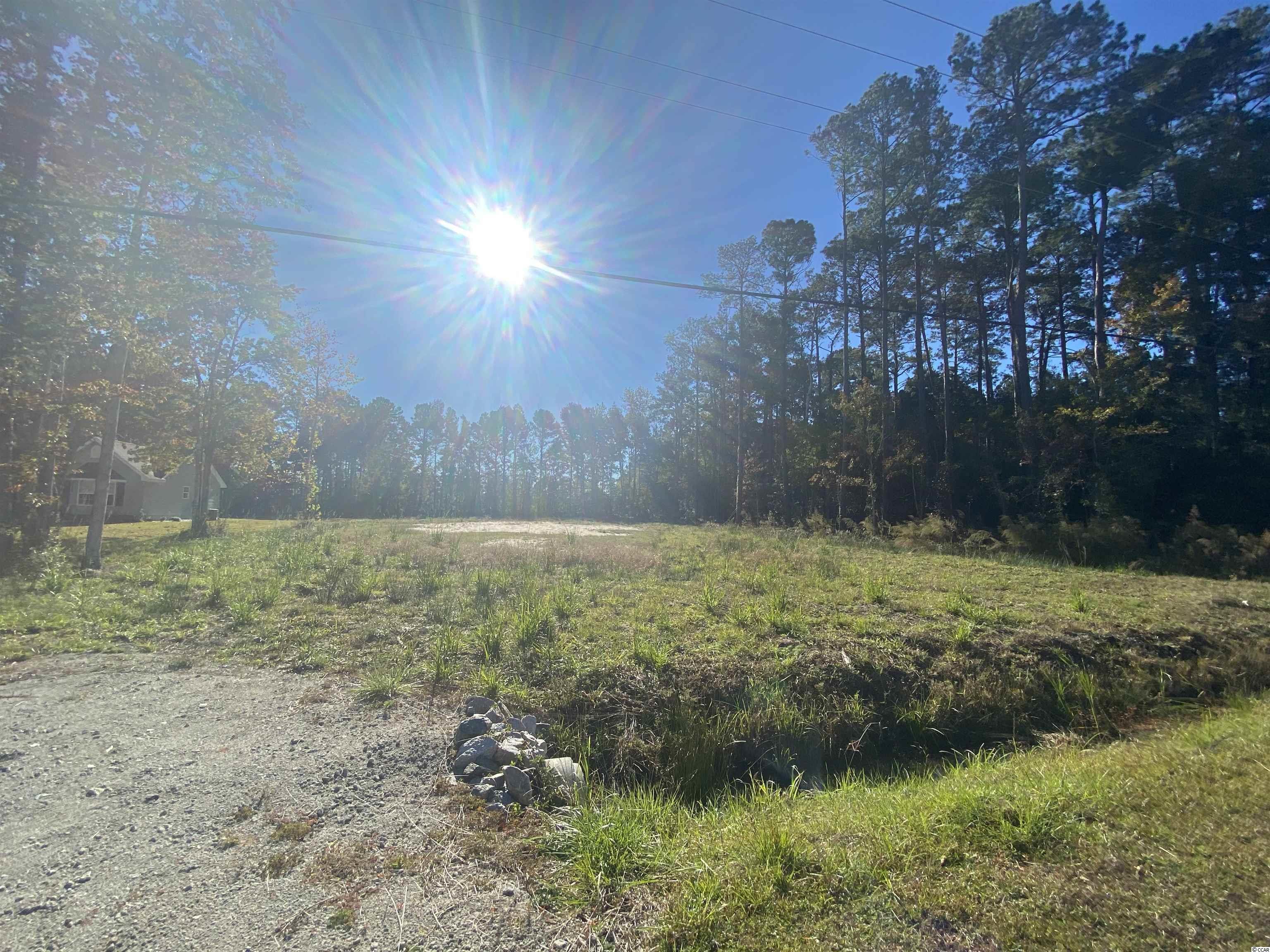 Lot 1 Shady Branch Road Myrtle Beach, SC 29588 - Photo 5 of 6 Gallery Image 5