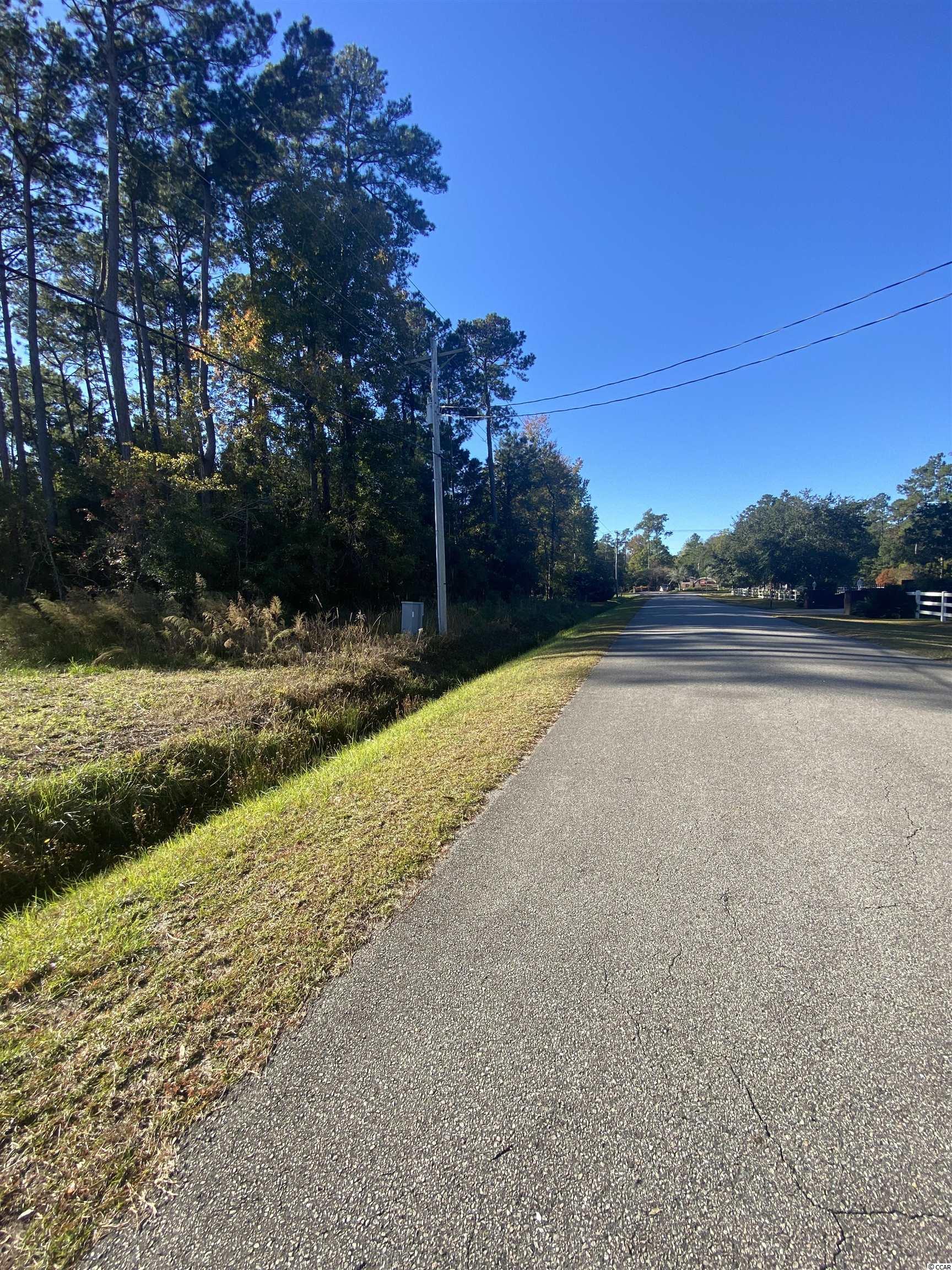 Lot 1 Shady Branch Road Myrtle Beach, SC 29588 - Photo 6 of 6 Gallery Image 6