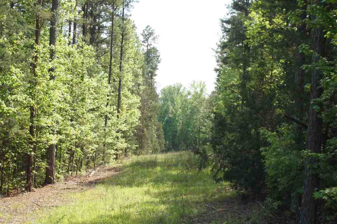 0 West Church Road Easley, SC 29640 - Photo 6 of 7