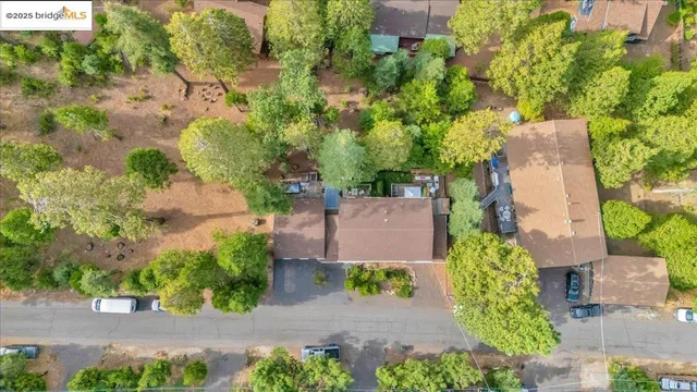 a view of a garden with a building in the background