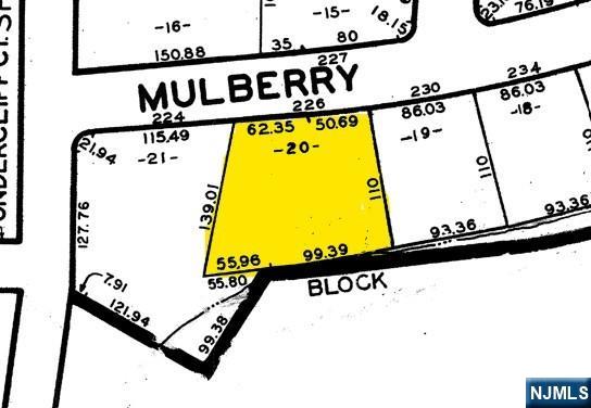 226 Mulberry Place Ridgewood, NJ 07450 - Photo 46 of 46