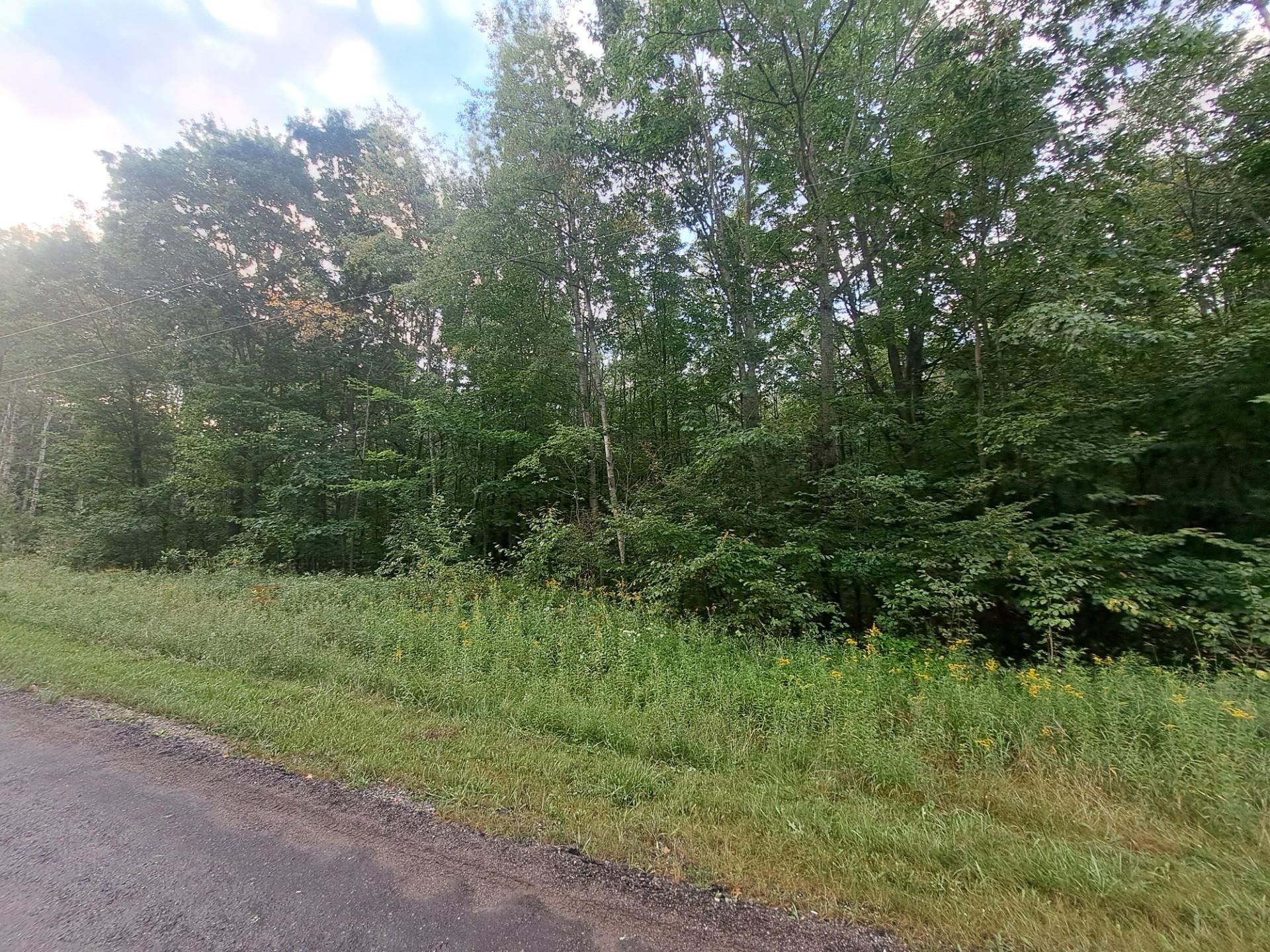 Tbd Monroe Road Harrison, MI 48625 - Photo 2 of 3