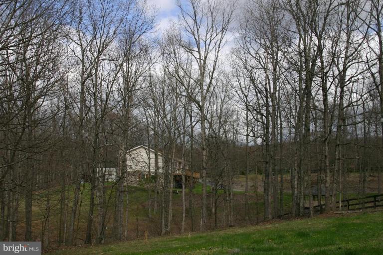 241 McCubbin Road Winchester, VA 22603 - Photo 6 of 7 Other #1
