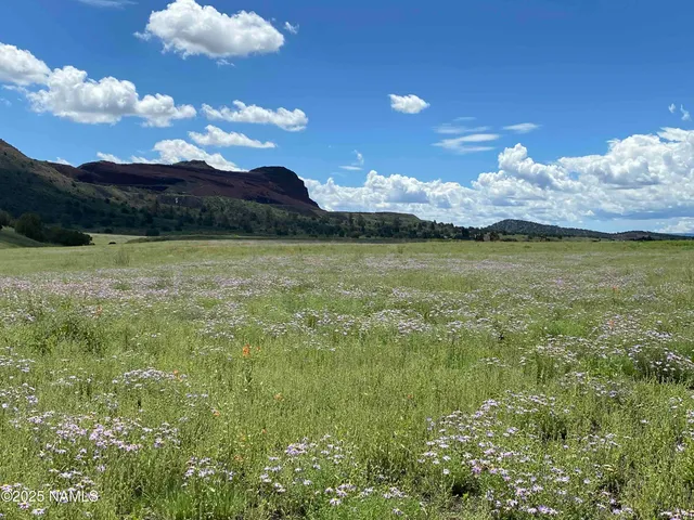 $1,758,400 | 6647 Meadows Lane, Flagstaff, AZ 86004