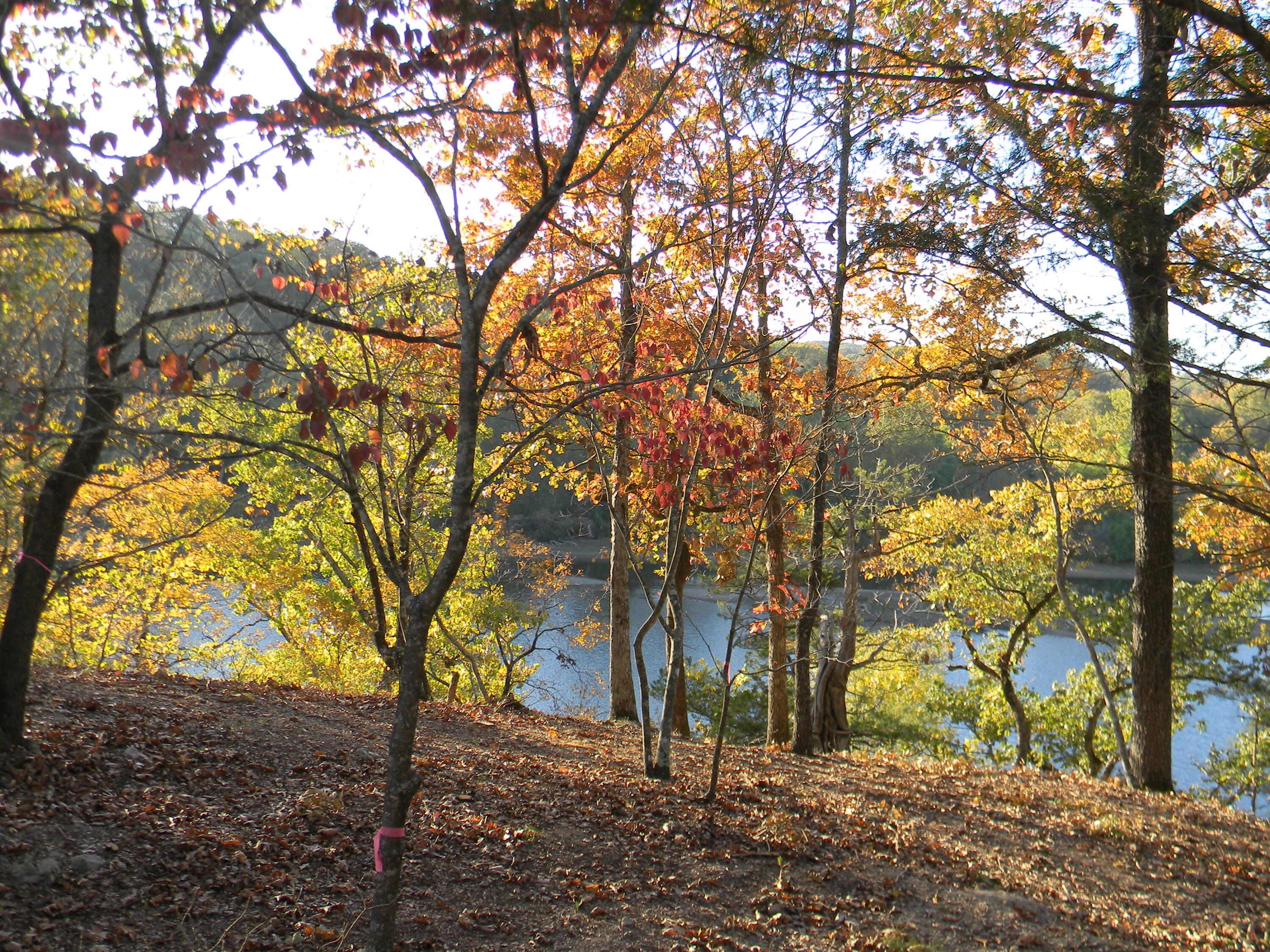 26648 Sandy Shrs Road Shell Knob, MO 65747 - Photo 20 of 33 waterfront view 2