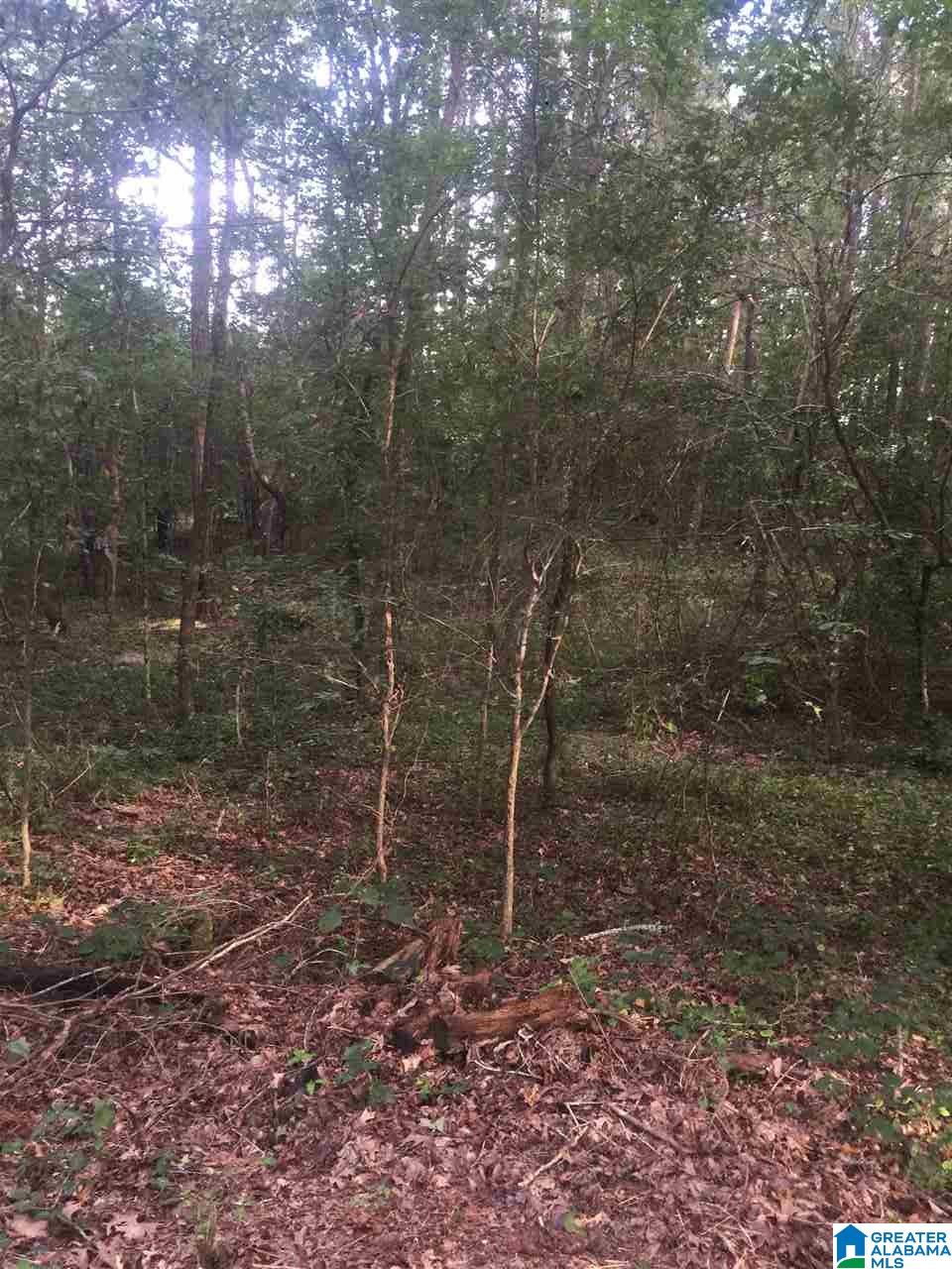 241 Sulphur Springs Road, Unit 9 89 ACRES Lincoln, AL 35096 - Photo 9 of 44