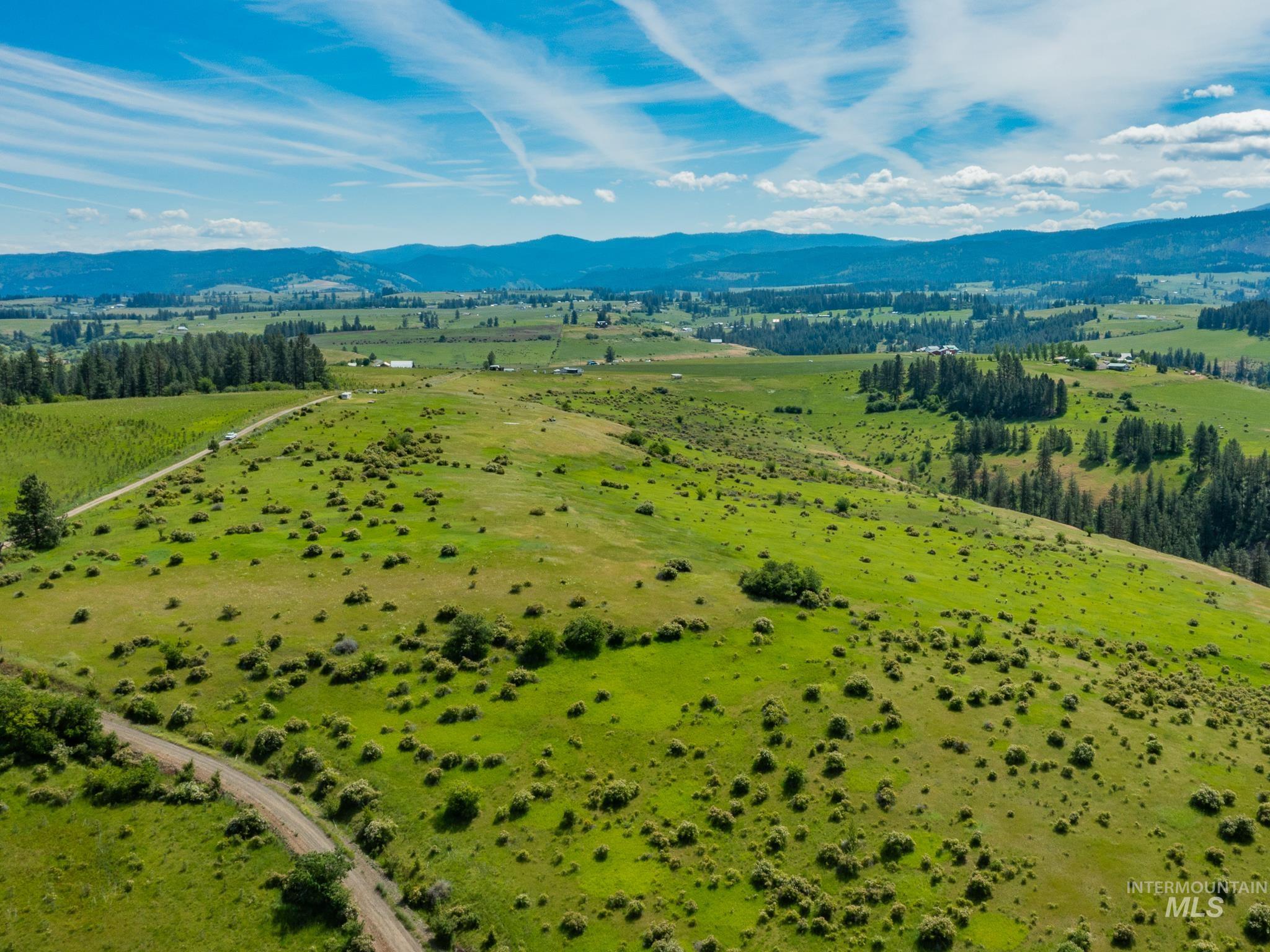 Tbd Brotnov Road Stites, ID 83552 - Photo 20 of 28