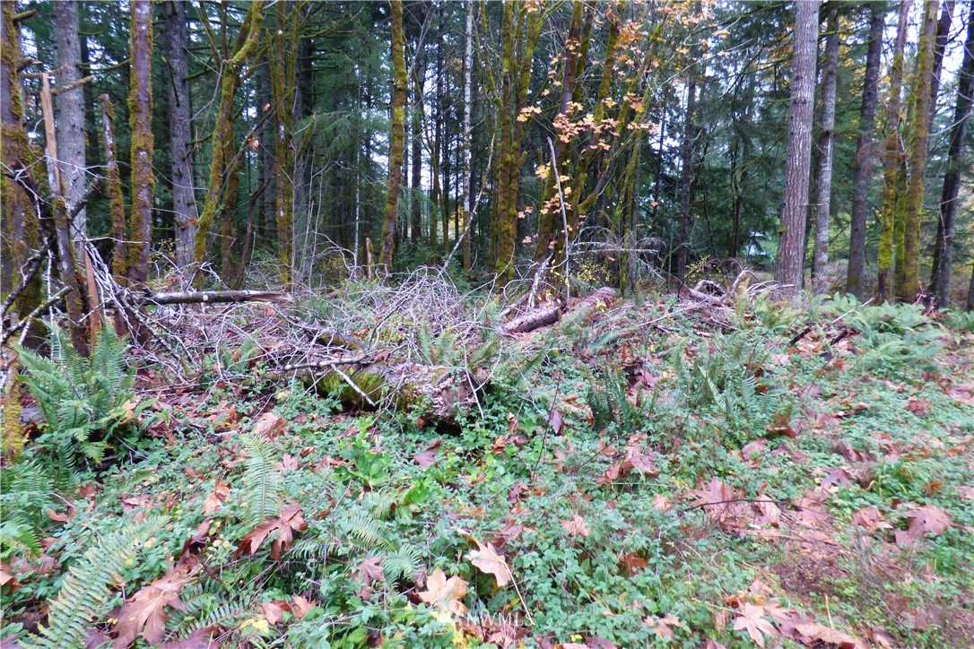 7240 Stibgen Road Northwest Olympia, WA 98502 - Photo 12 of 18 Gallery Image 12
