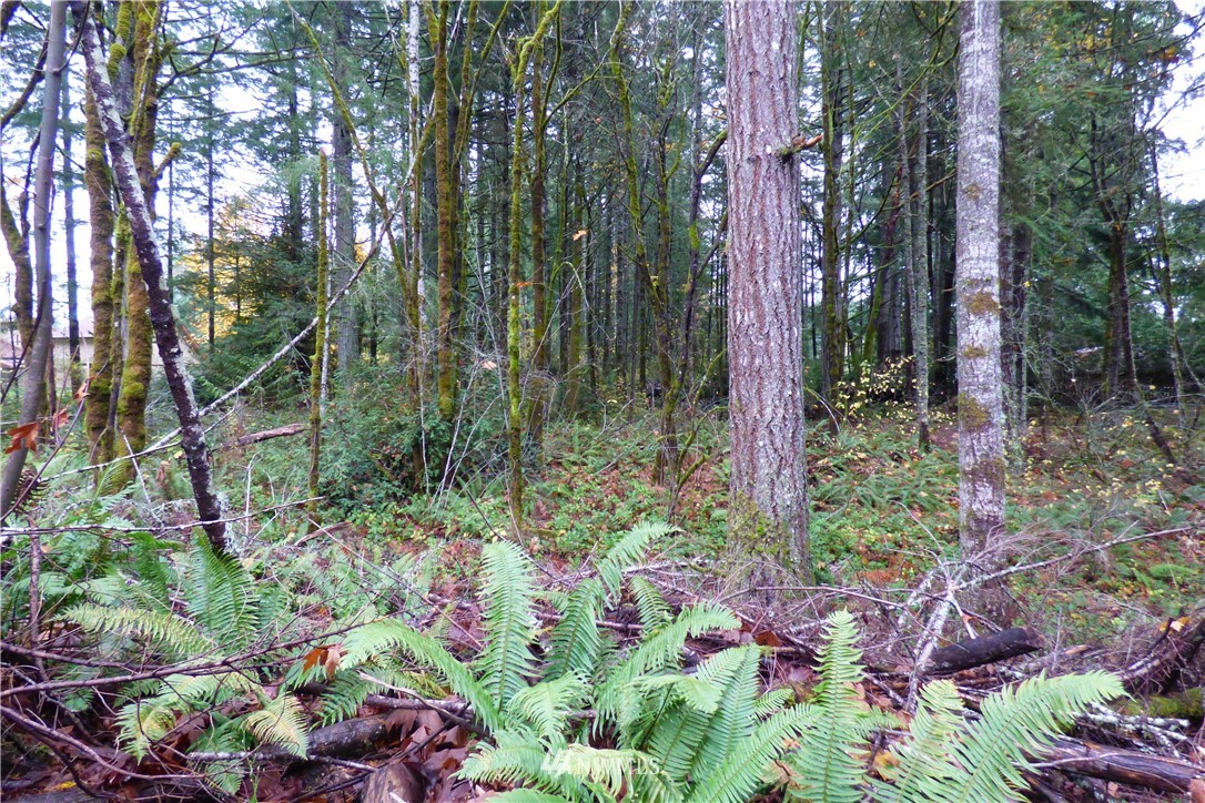 7240 Stibgen Road Northwest Olympia, WA 98502 - Photo 13 of 18 Gallery Image 13