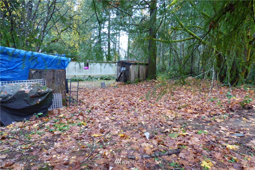 7240 Stibgen Road Northwest Olympia, WA 98502 - Photo 15 of 18 Gallery Image 15