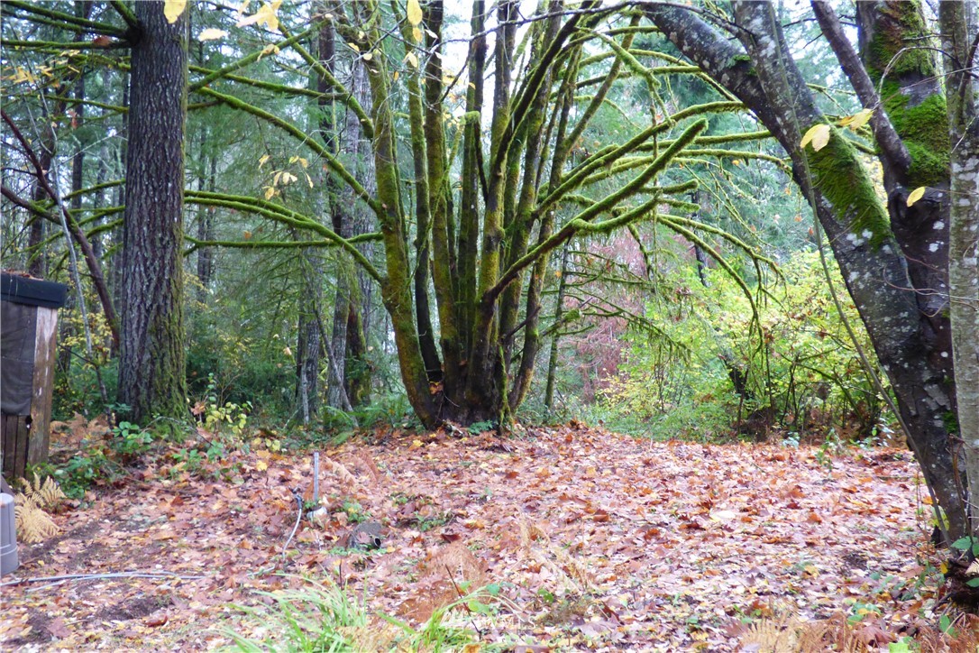 7240 Stibgen Road Northwest Olympia, WA 98502 - Photo 18 of 18 Gallery Image 18