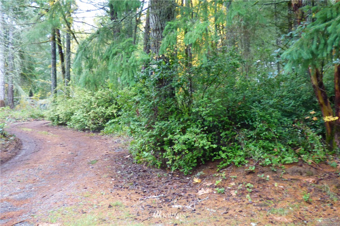 7240 Stibgen Road Northwest Olympia, WA 98502 - Photo 3 of 18 Gallery Image 3