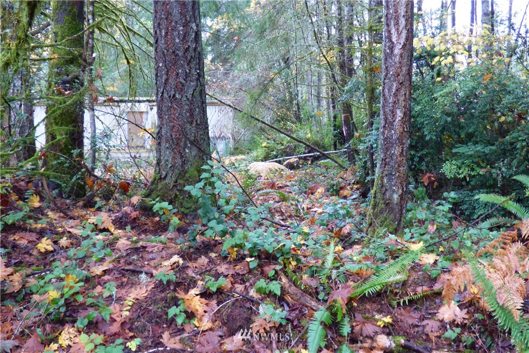 7240 Stibgen Road Northwest Olympia, WA 98502 - Photo 4 of 18 Gallery Image 4
