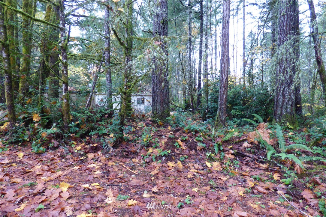 7240 Stibgen Road Northwest Olympia, WA 98502 - Photo 8 of 18 Gallery Image 8