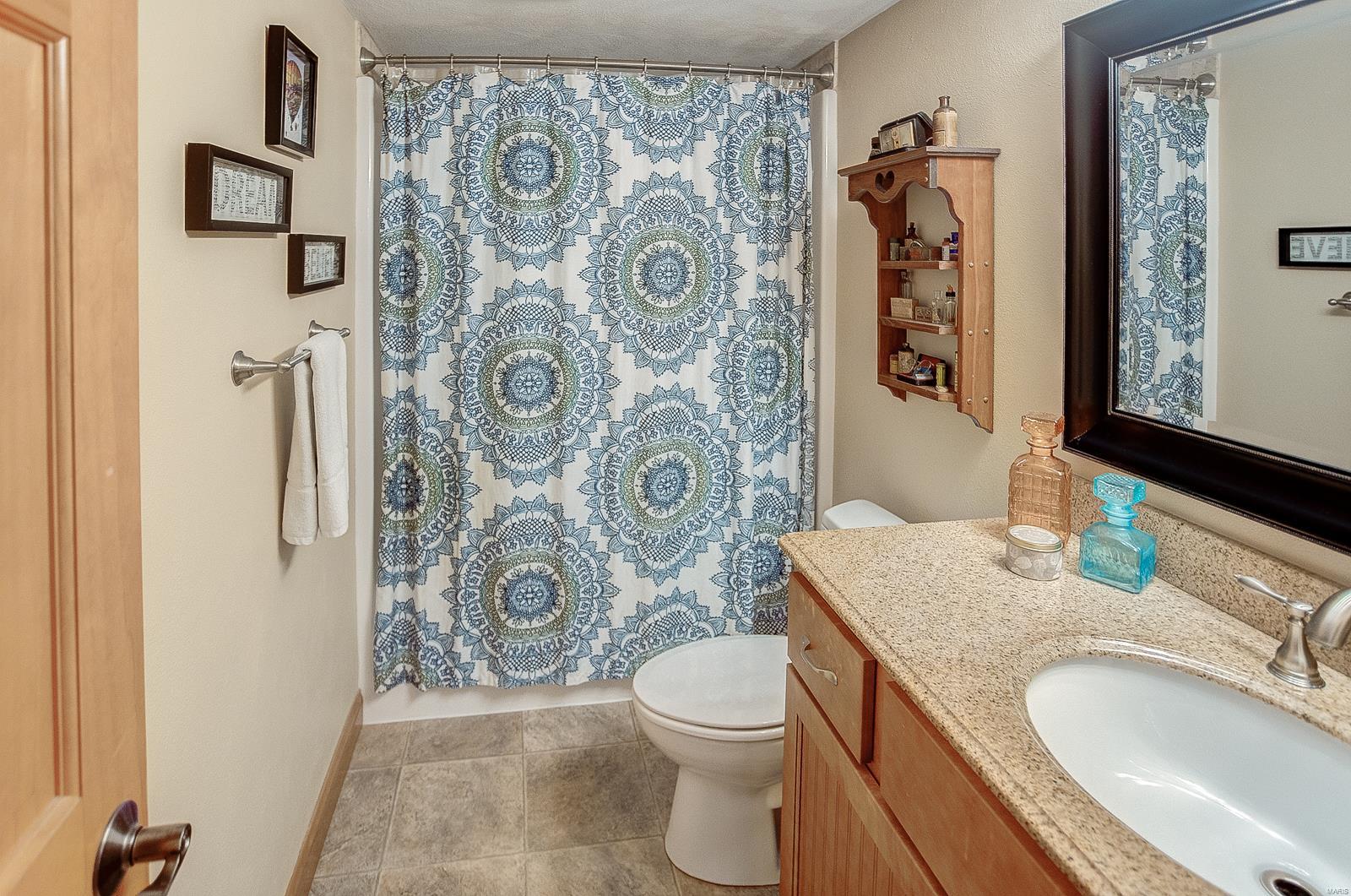 157 Summerlin Ridge O'Fallon, IL 62269 - Photo 54 of 61
