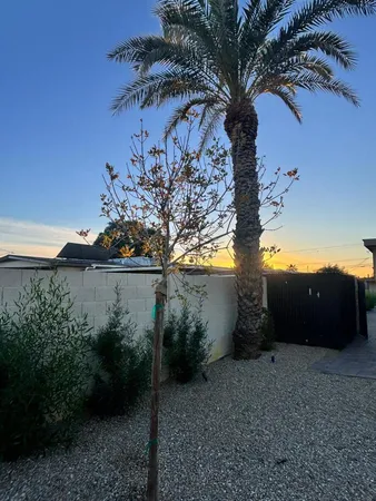 $2,490 | 8233 North 29th Avenue, Phoenix, AZ 85051