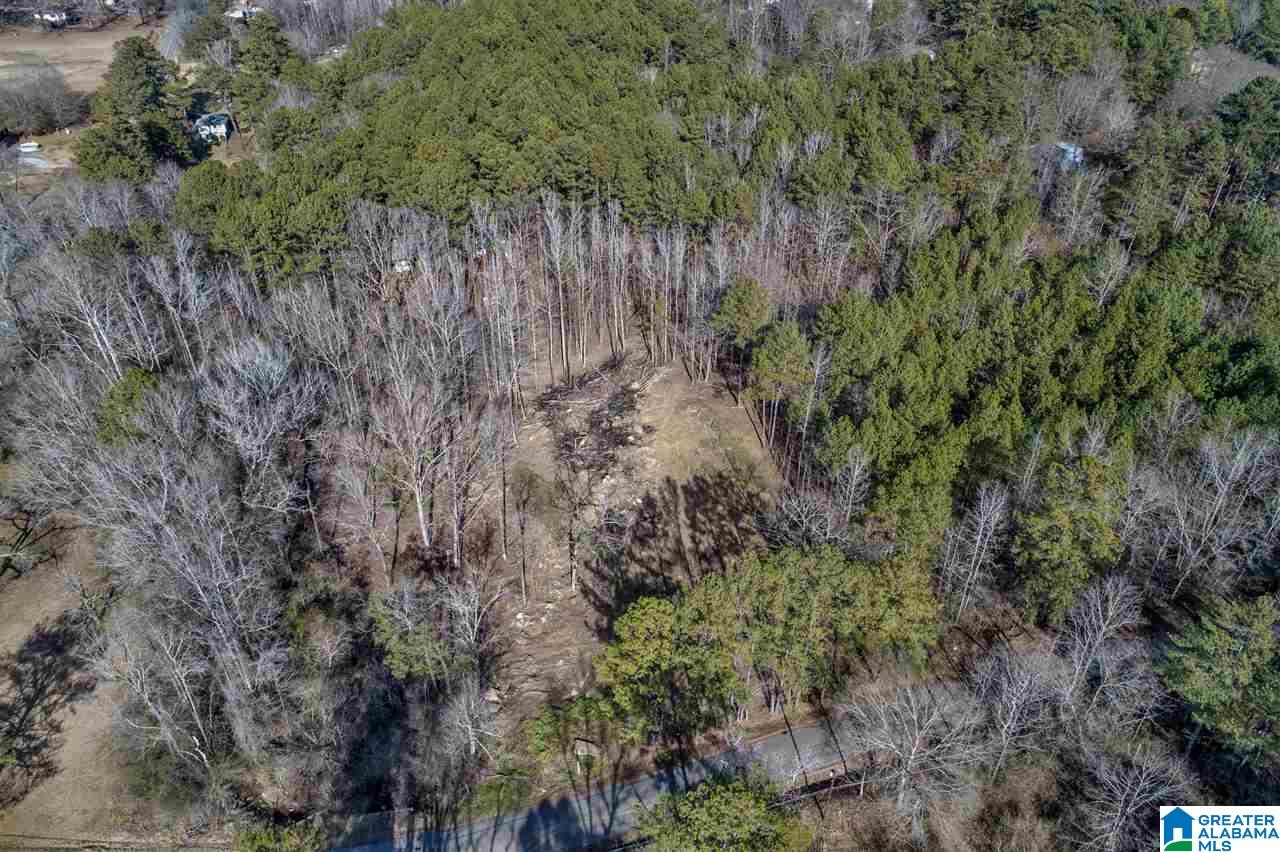 4491 Jim Tate Road Dora, AL 35062 - Photo 7 of 15