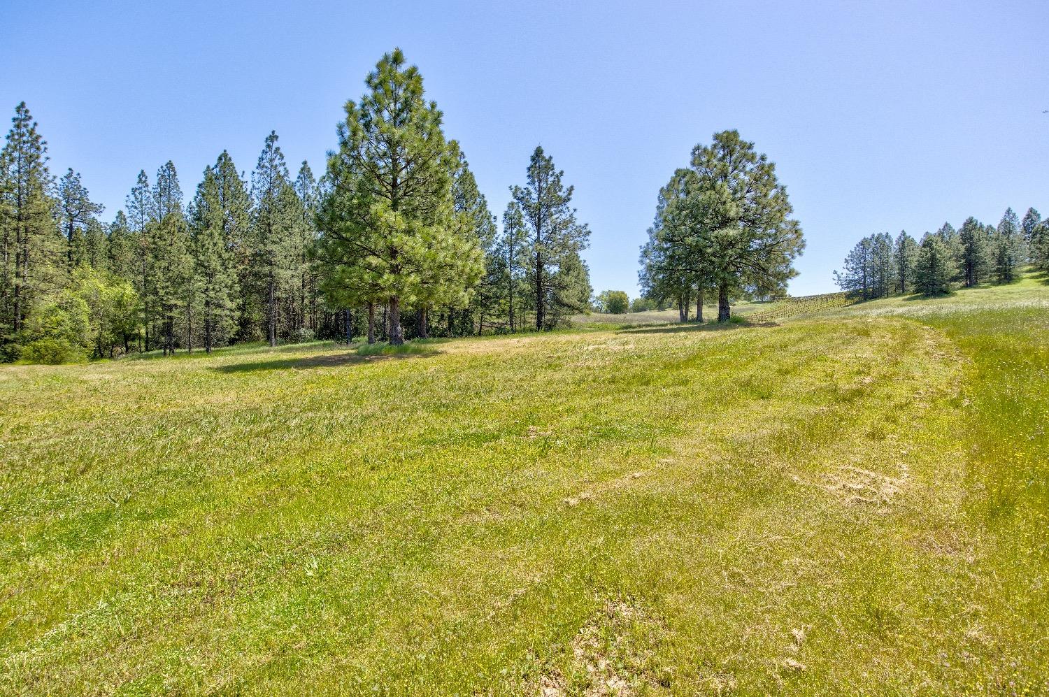 13320 Oakstream Road Plymouth, CA 95669 - Photo 67 of 98